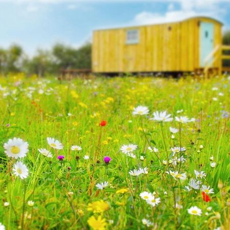 Honeysuckle Farm Holidays By Stay In Suffolk, Monk Soham Удбридж Екстериор снимка