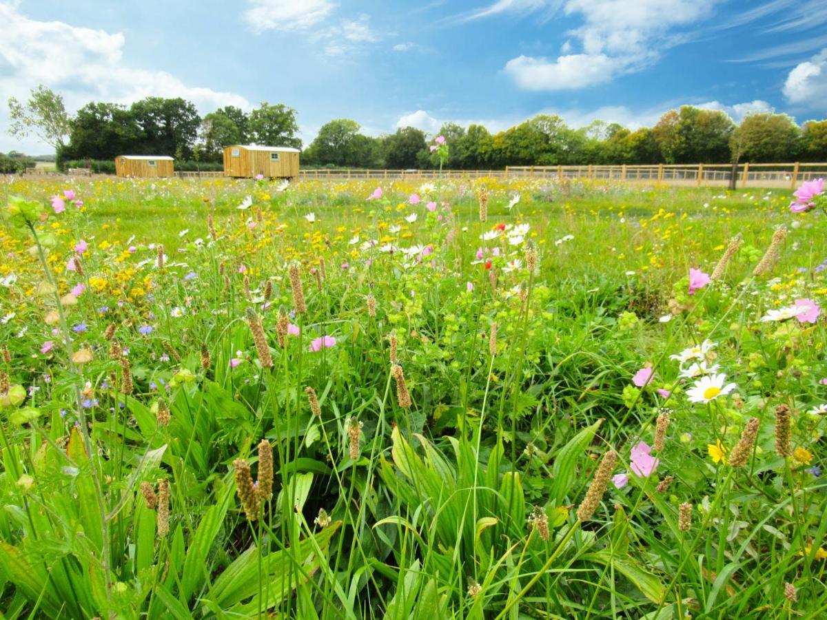 Honeysuckle Farm Holidays By Stay In Suffolk, Monk Soham Удбридж Екстериор снимка