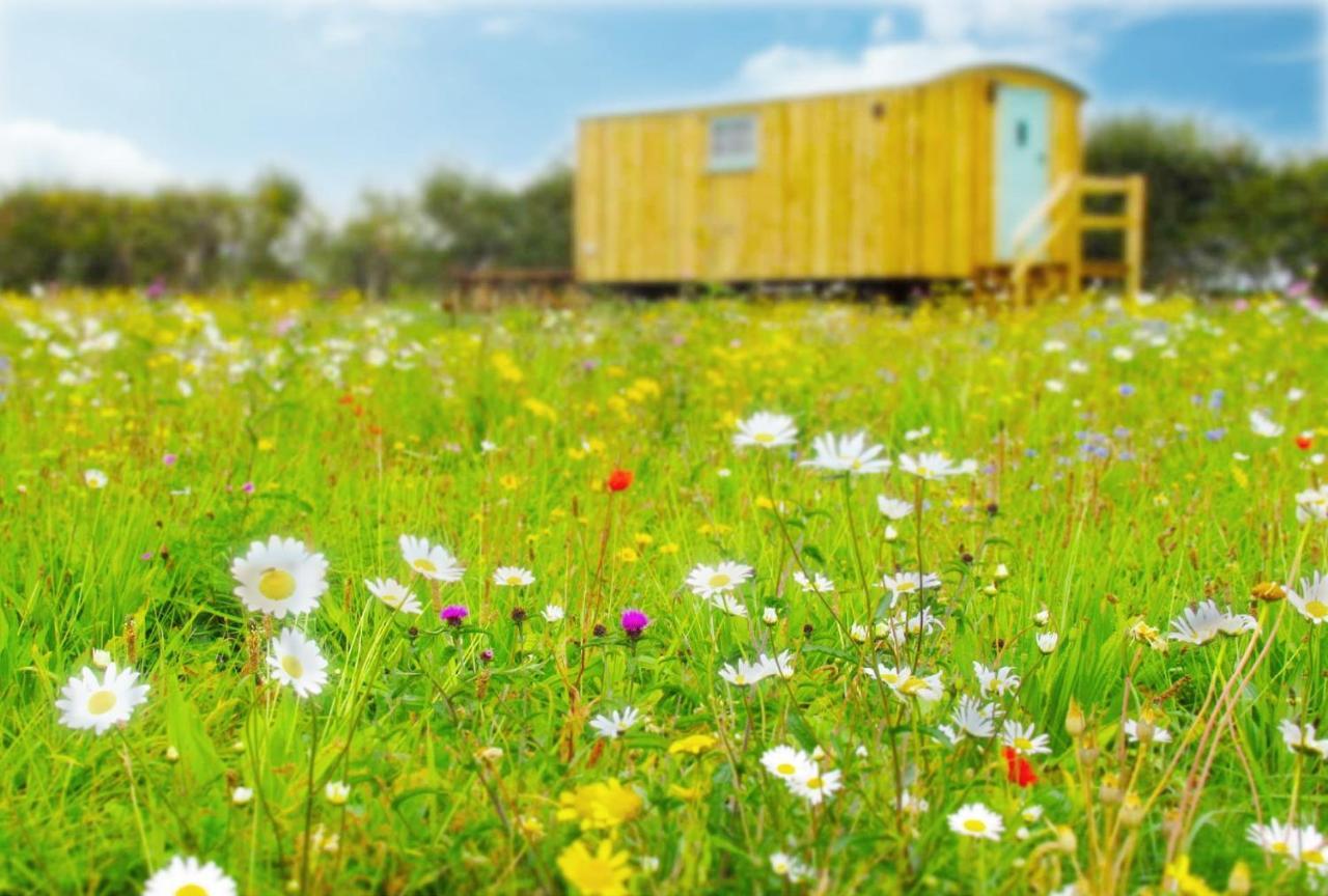 Honeysuckle Farm Holidays By Stay In Suffolk, Monk Soham Удбридж Екстериор снимка